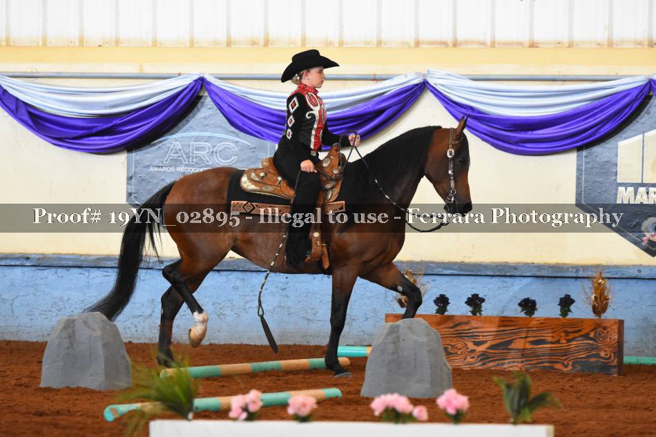 Proof 19YN_02895