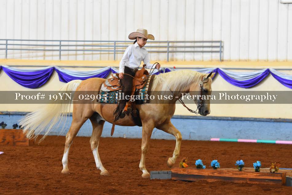 Proof 19YN_02905