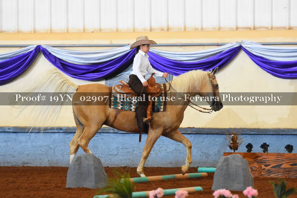 Proof 19YN_02907