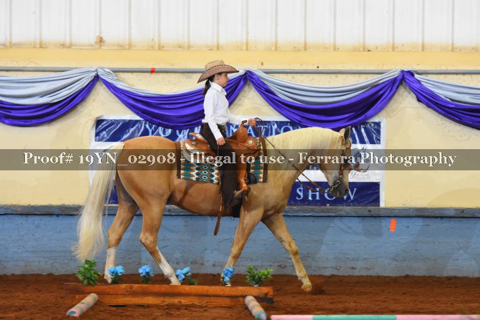 Proof 19YN_02908