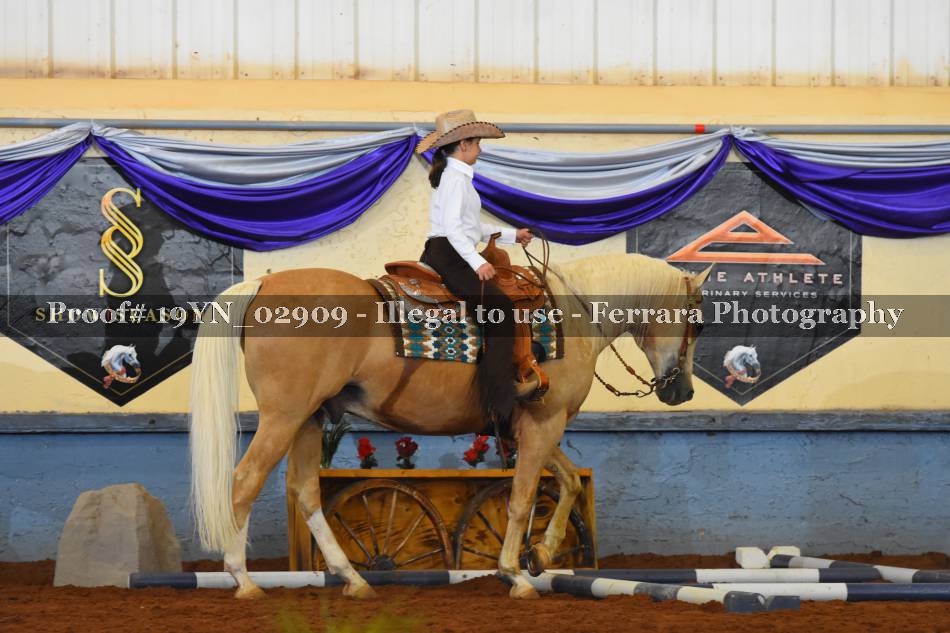 Proof 19YN_02909