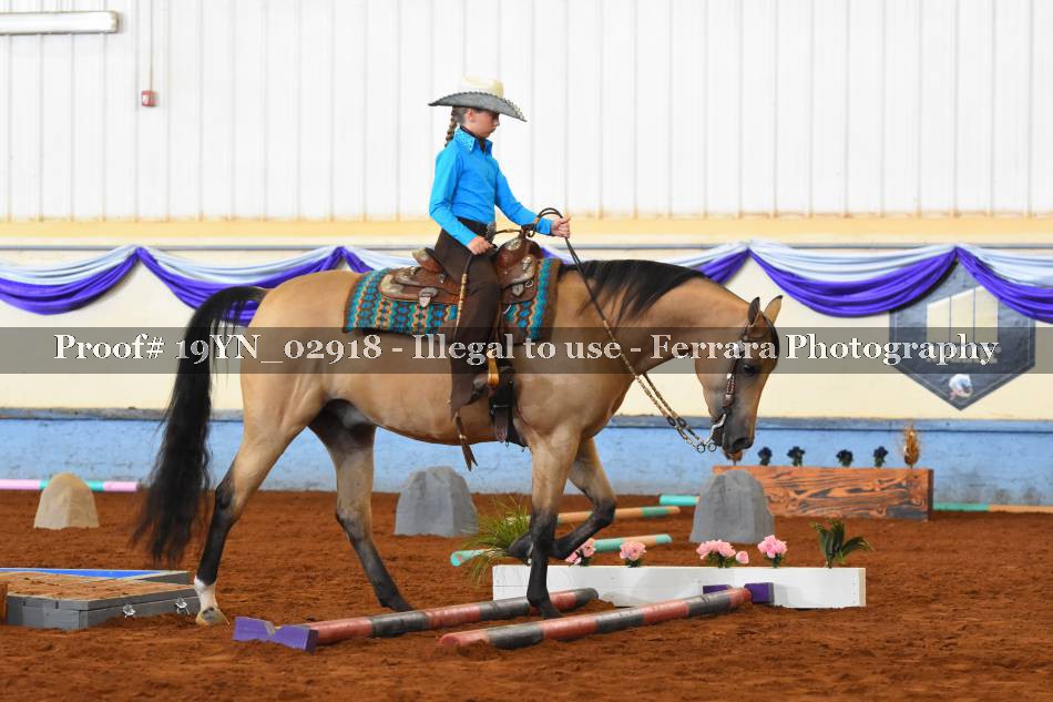 Proof 19YN_02918