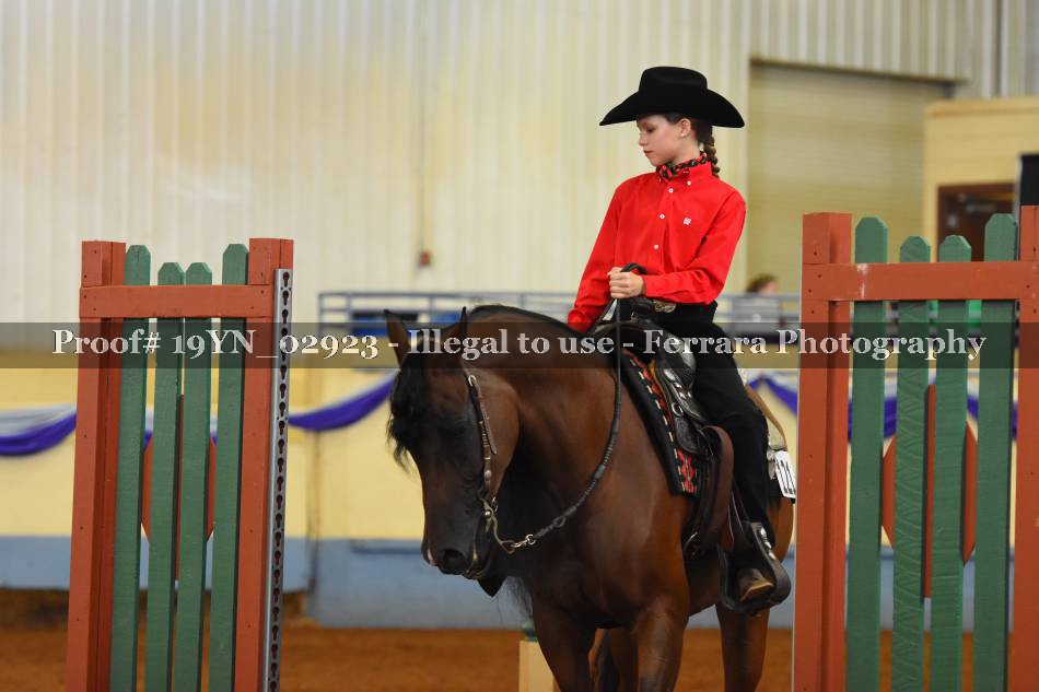 Proof 19YN_02923