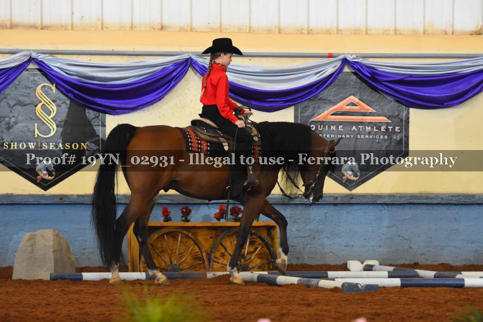Proof 19YN_02931
