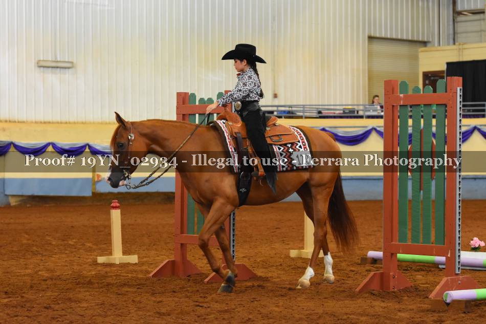 Proof 19YN_02934