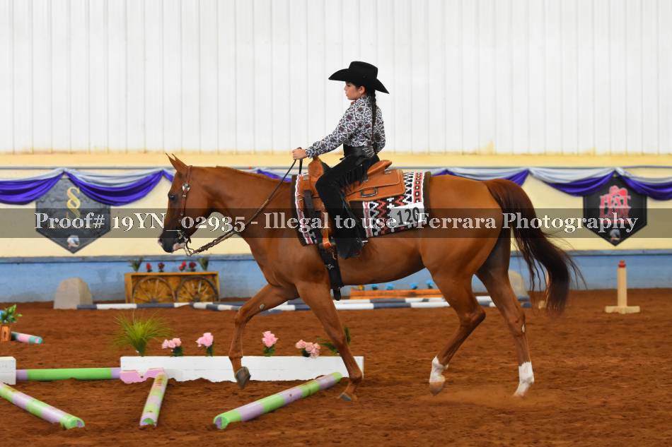 Proof 19YN_02935