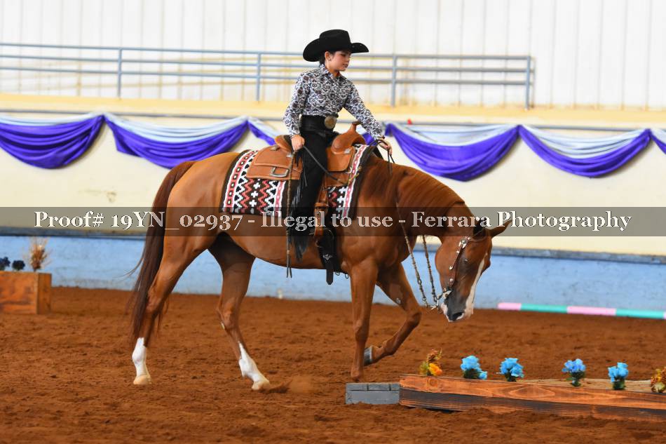 Proof 19YN_02937