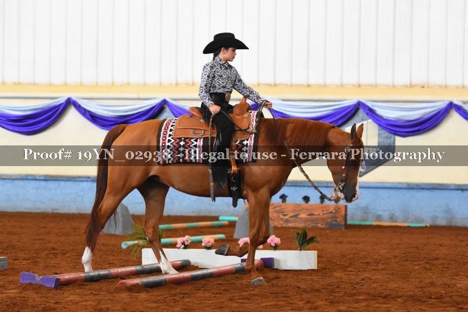 Proof 19YN_02938