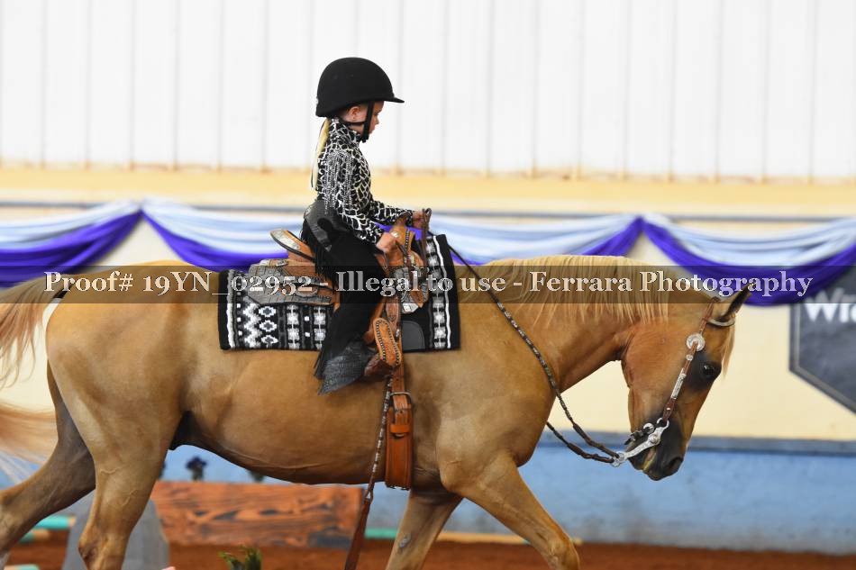 Proof 19YN_02952