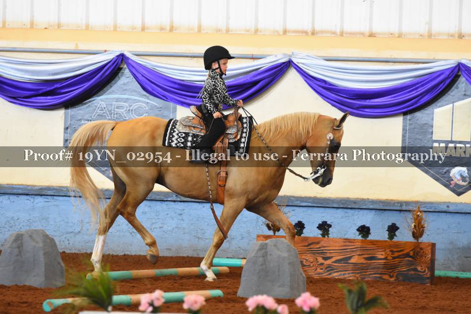 Proof 19YN_02954