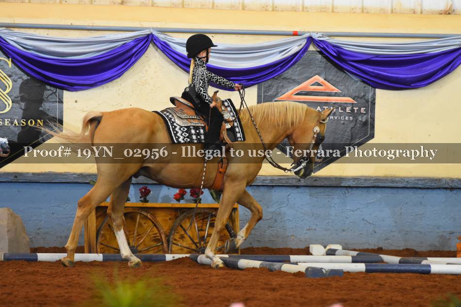 Proof 19YN_02956