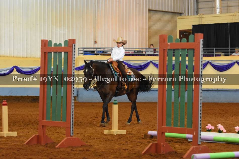 Proof 19YN_02959