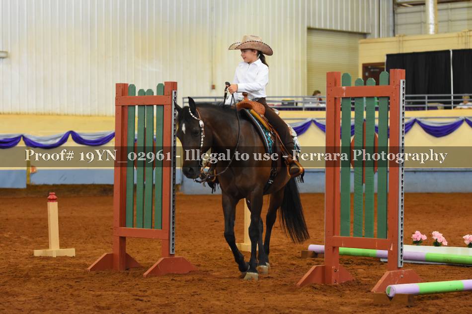 Proof 19YN_02961