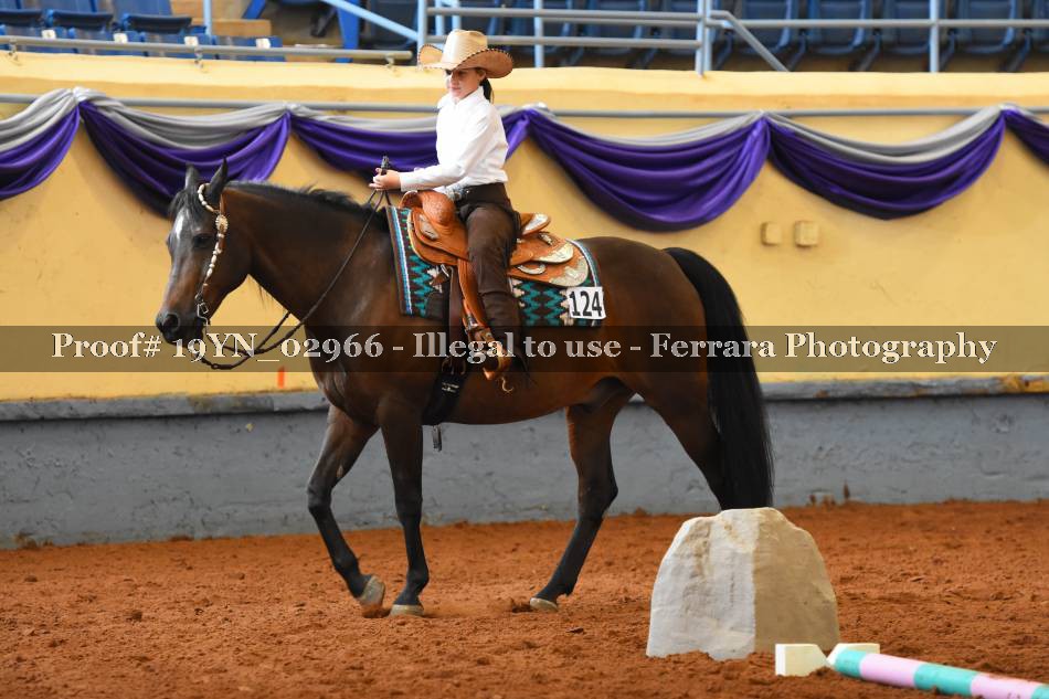 Proof 19YN_02966