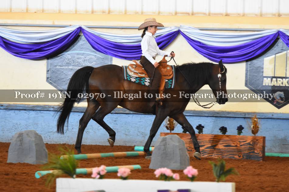 Proof 19YN_02970