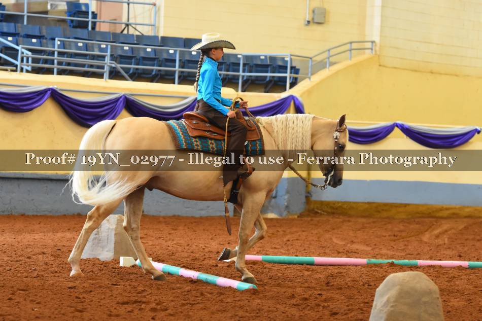Proof 19YN_02977