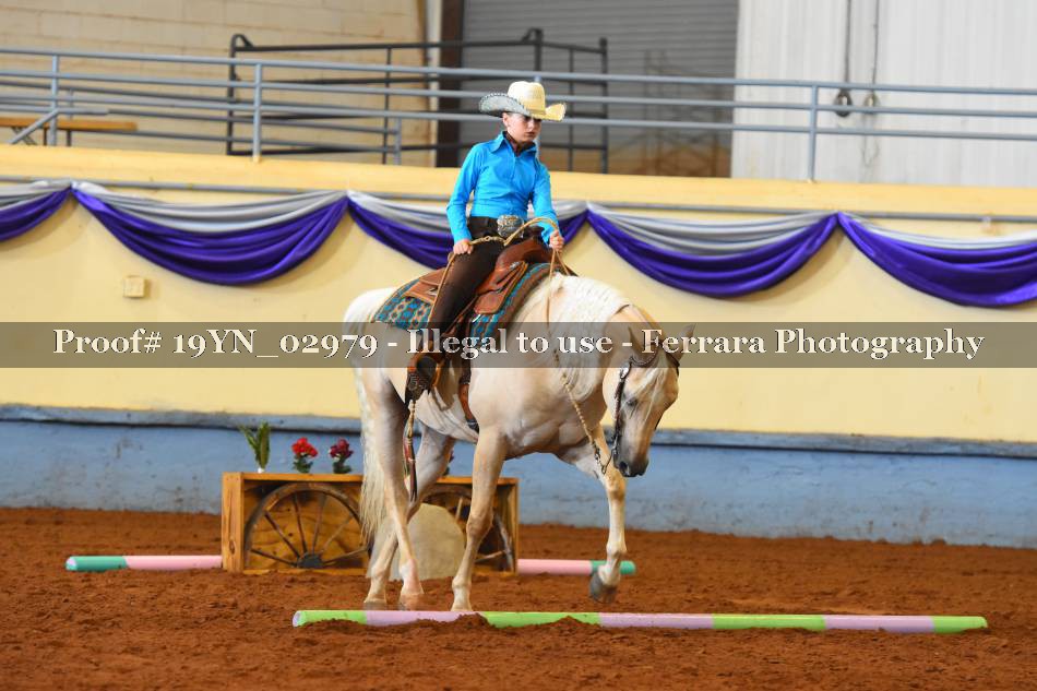 Proof 19YN_02979