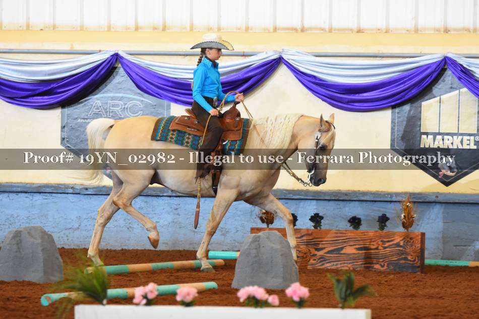 Proof 19YN_02982