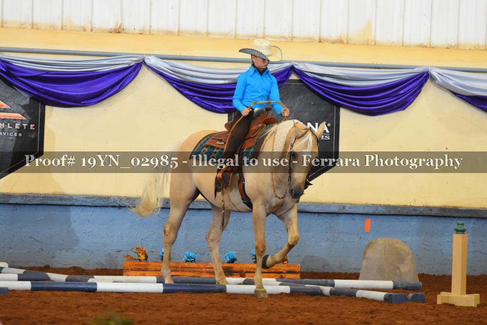 Proof 19YN_02985