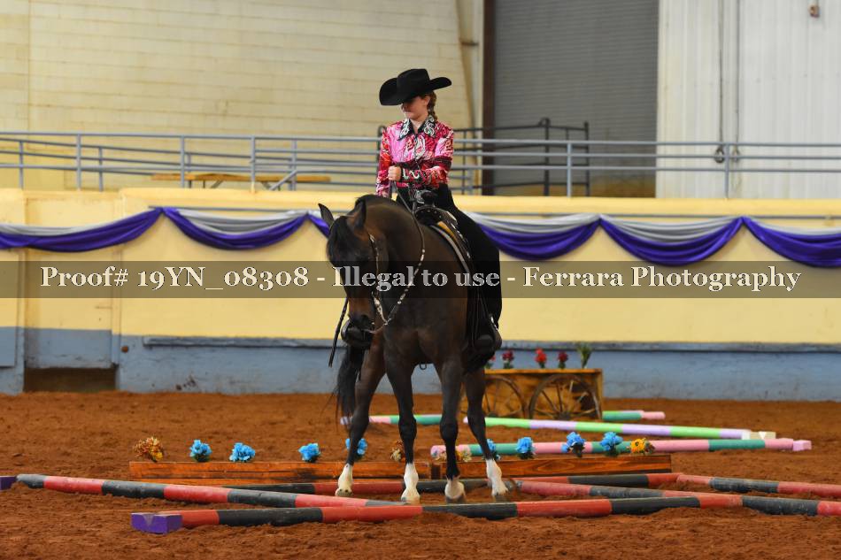 Proof 19YN_08308