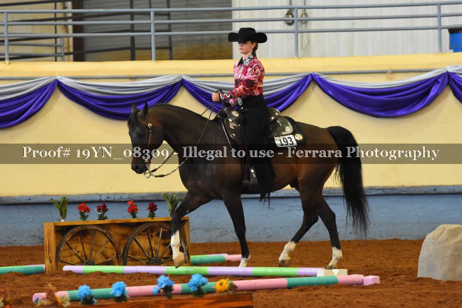 Proof 19YN_08309