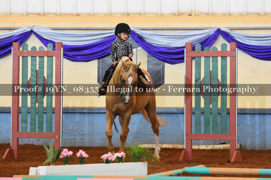 Proof 19YN_08355