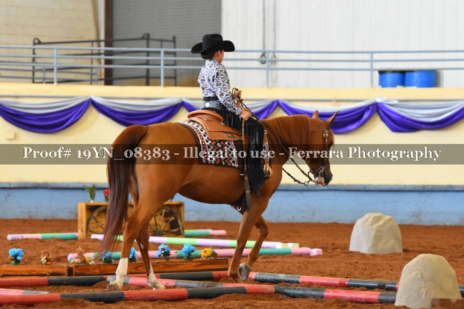 Proof 19YN_08383