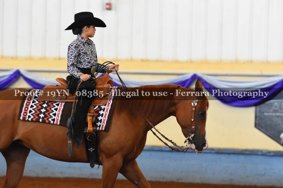 Proof 19YN_08385