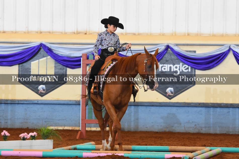 Proof 19YN_08386