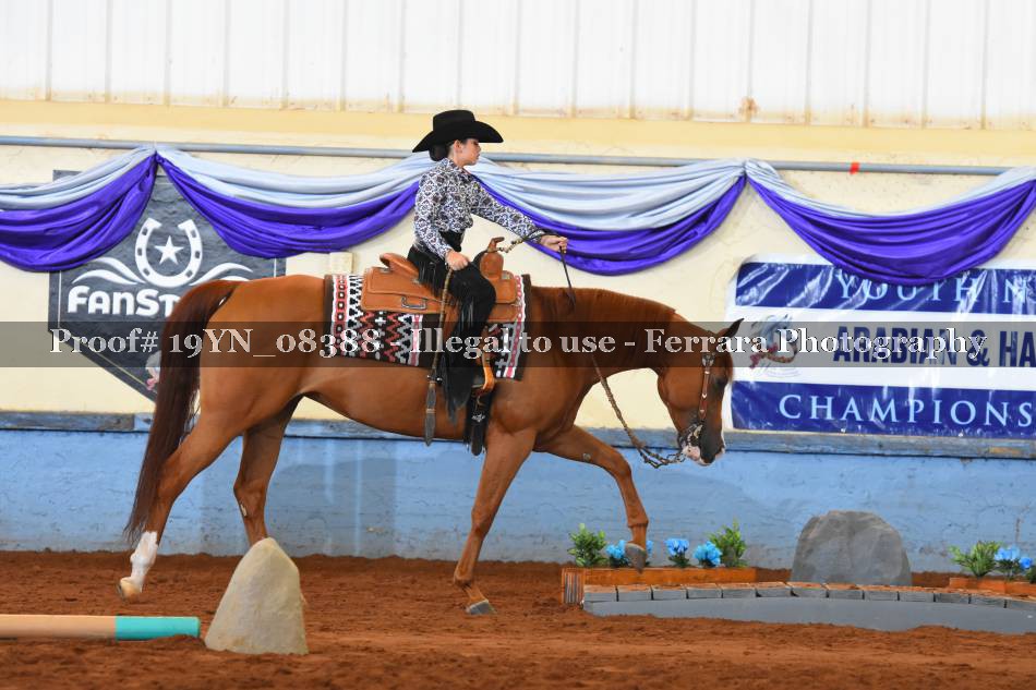 Proof 19YN_08388