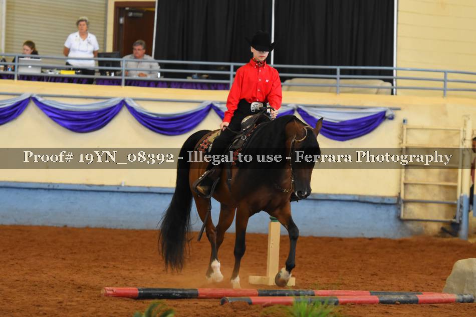 Proof 19YN_08392