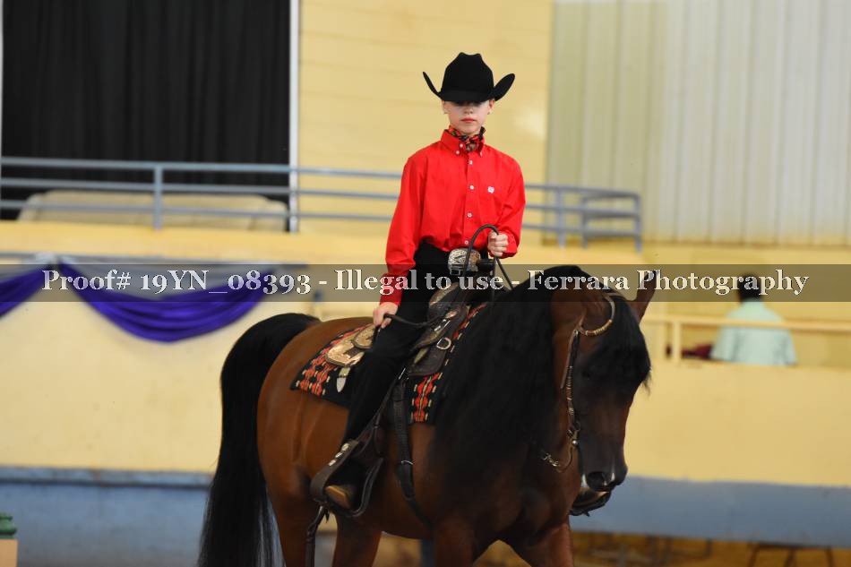 Proof 19YN_08393