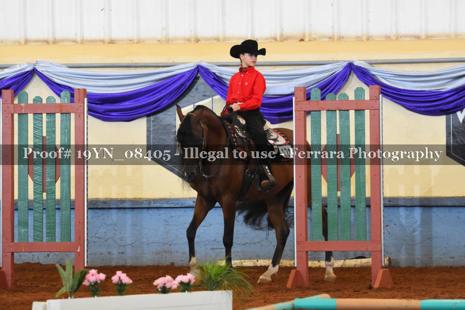 Proof 19YN_08405