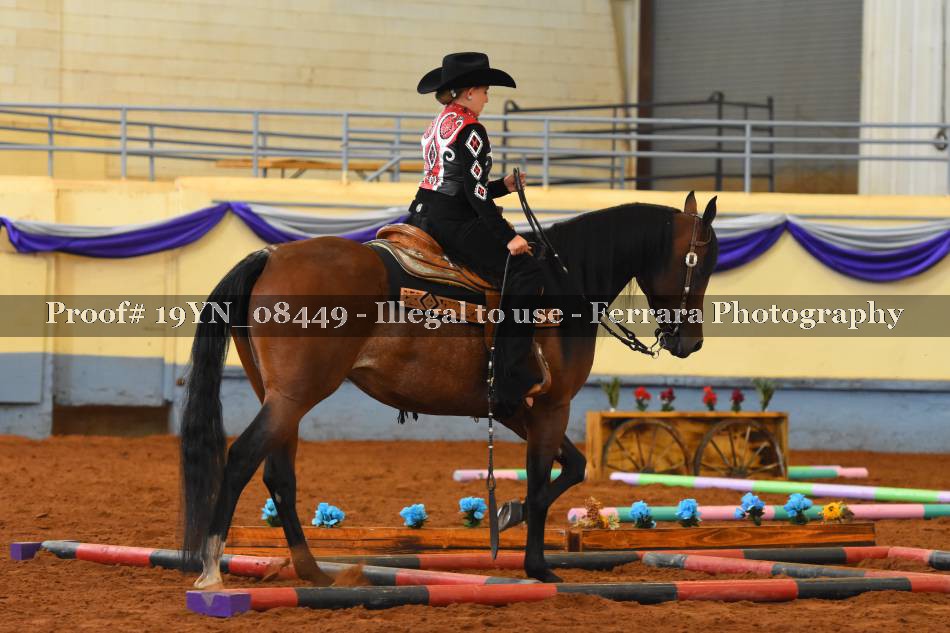 Proof 19YN_08449
