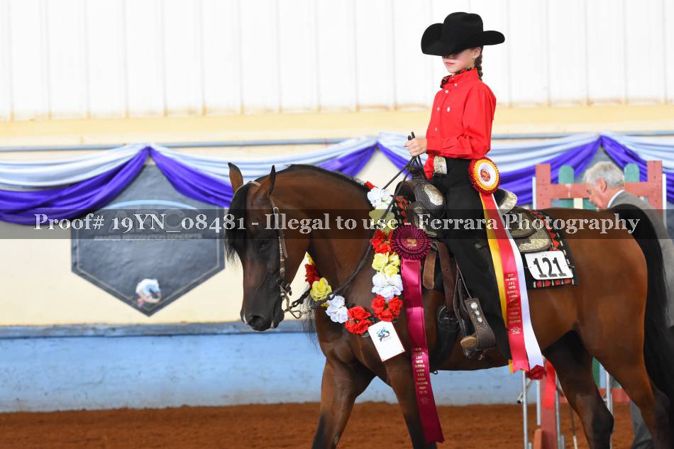 Proof 19YN_08481