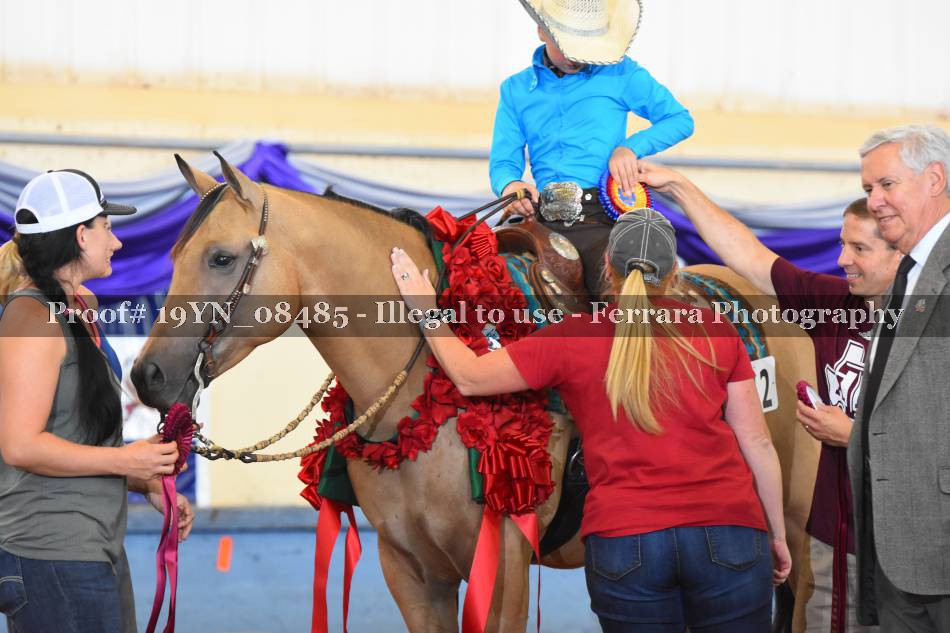 Proof 19YN_08485