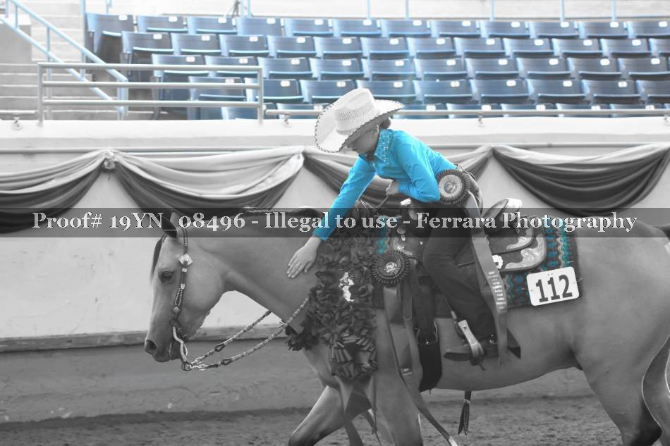 Proof 19YN_08496