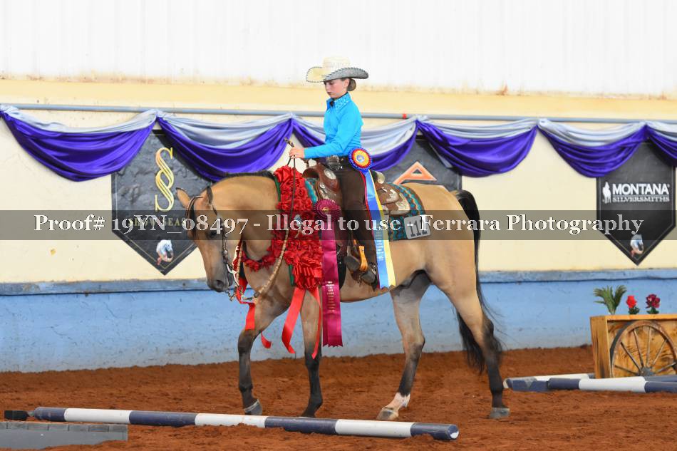 Proof 19YN_08497
