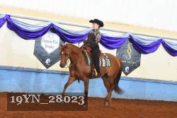 19YN_28023 proof