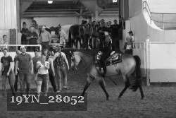 19YN_28052 proof