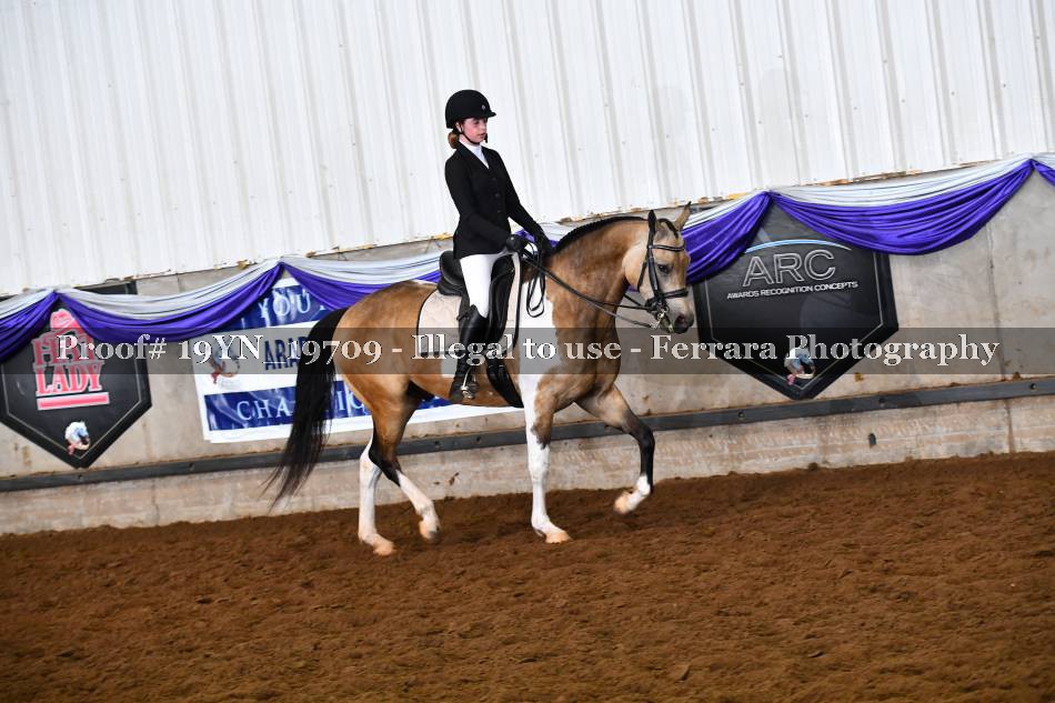 Proof 19YN_19709
