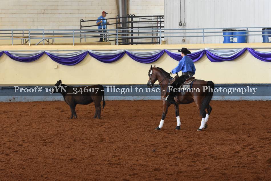 Proof 19YN_34607
