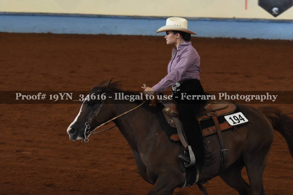 Proof 19YN_34616