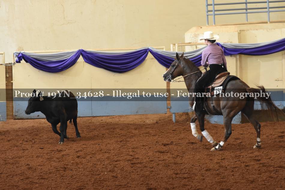 Proof 19YN_34628