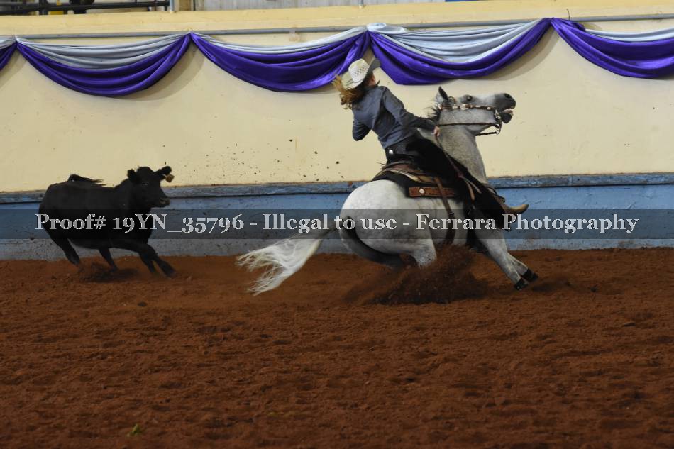 Proof 19YN_35796