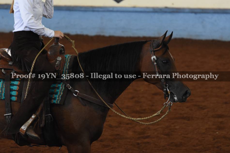 Proof 19YN_35808