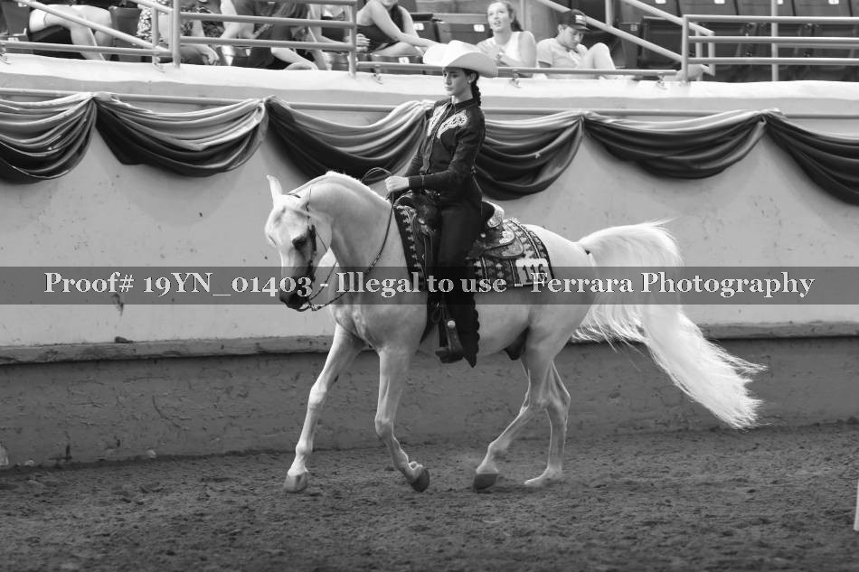 Proof 19YN_01403