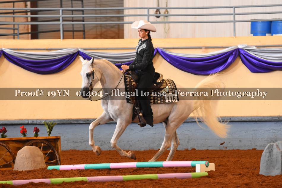 Proof 19YN_01404