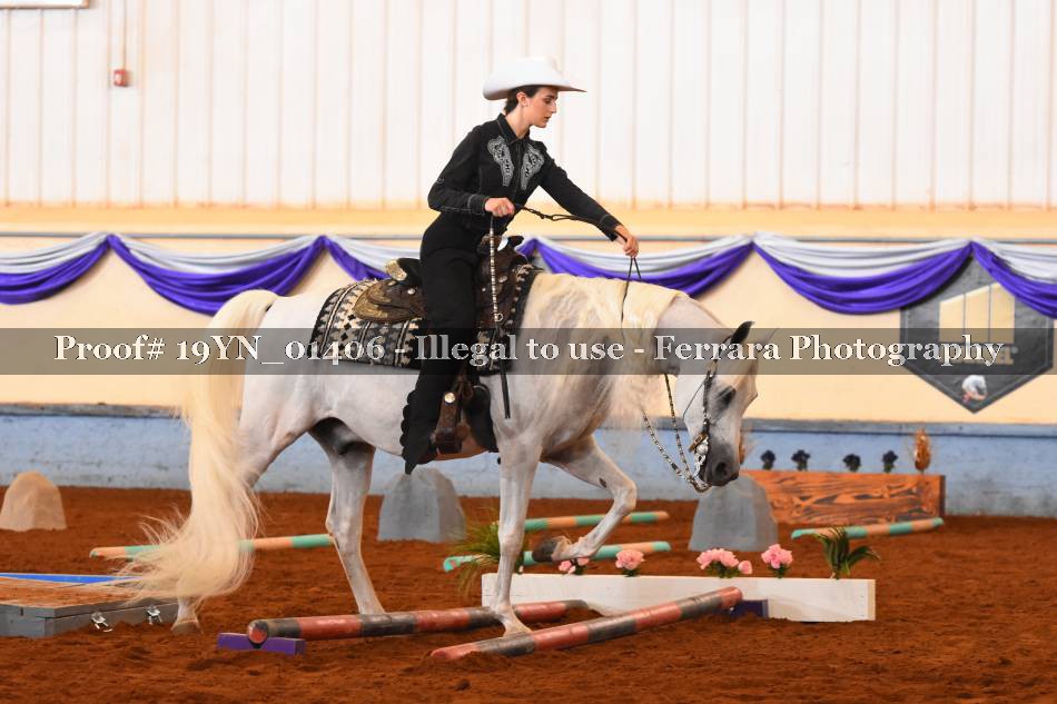 Proof 19YN_01406