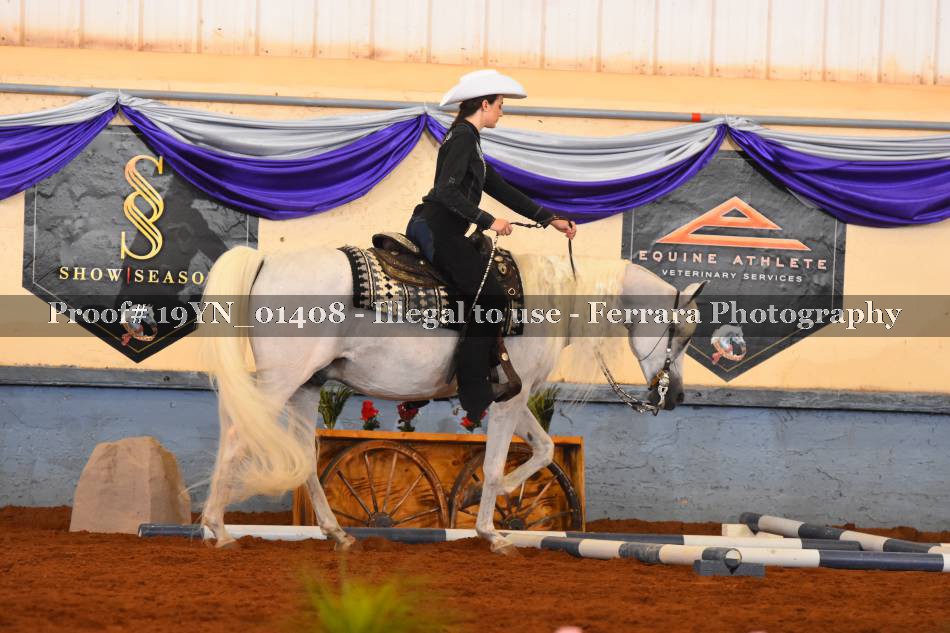 Proof 19YN_01408
